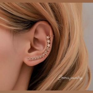 Single Silver Earrings for women